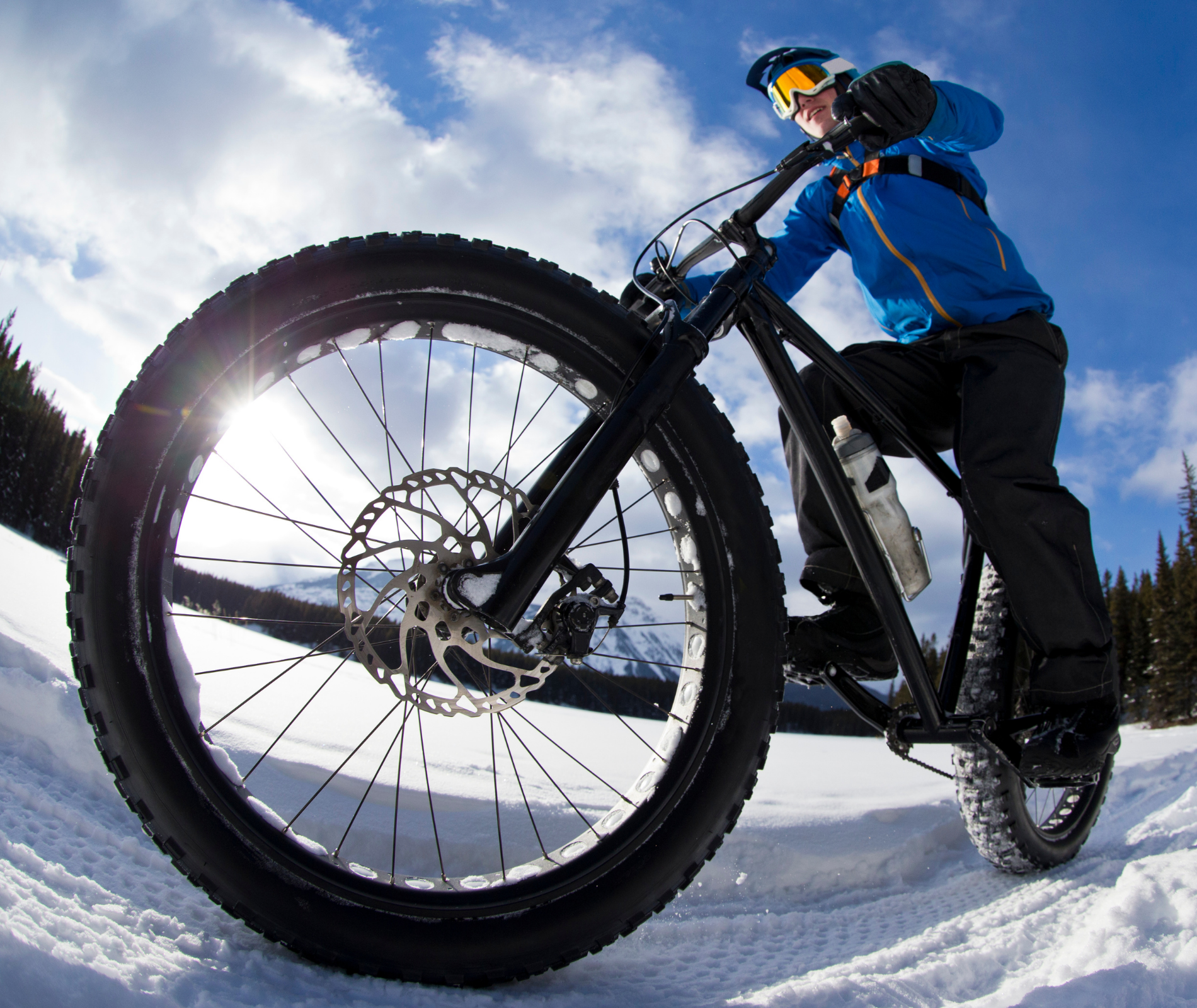Top discount fat bike