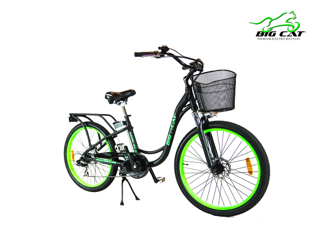 Big Cat Long Beach Cruiser 350 On Sale