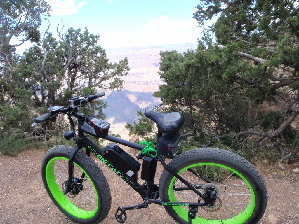 big cat fat cat xl 500w electric fat bike