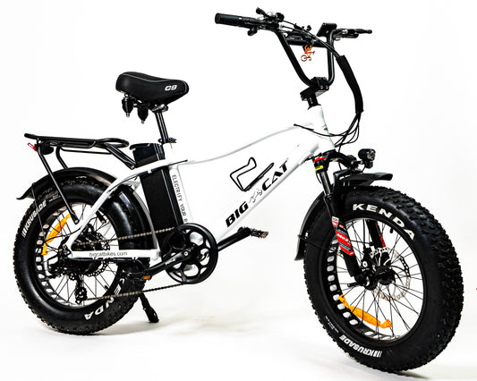 BIG CAT® 2025 Mini Fat Cat 750 (Max Output 1500W) XXL -Fat Tire Premium Electric Bike