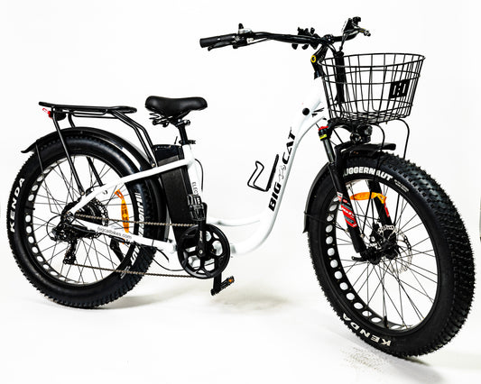 BIG CAT® 2024 Long Beach Cruiser XXL 750 Fat Tire (step thru) Premium Electric Beach Cruiser