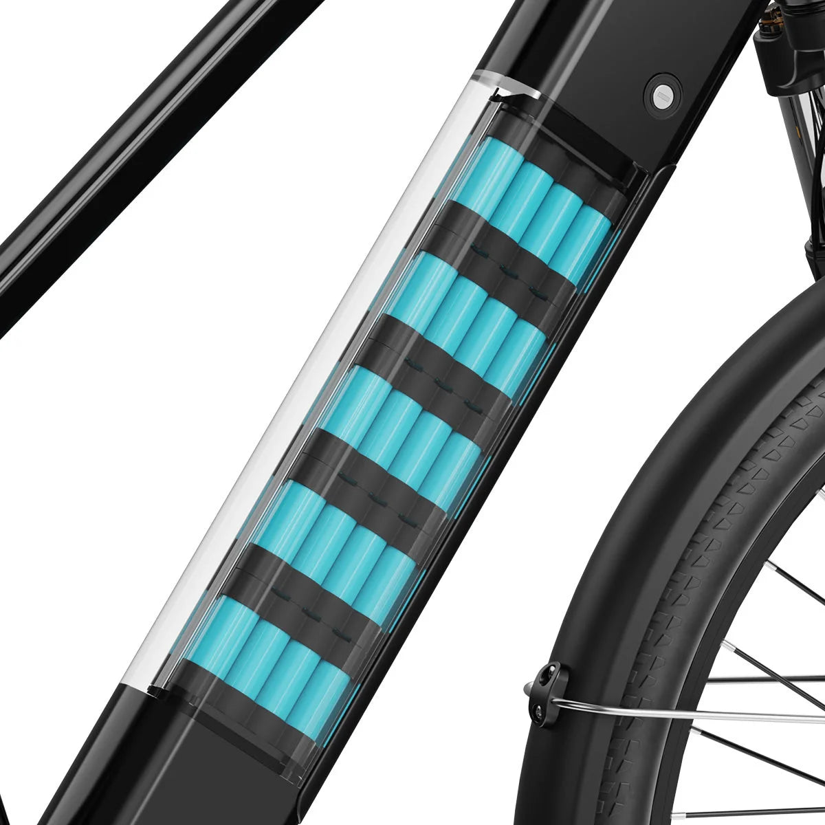 Big Cat C2 Xpress Ebike by Aipas®
