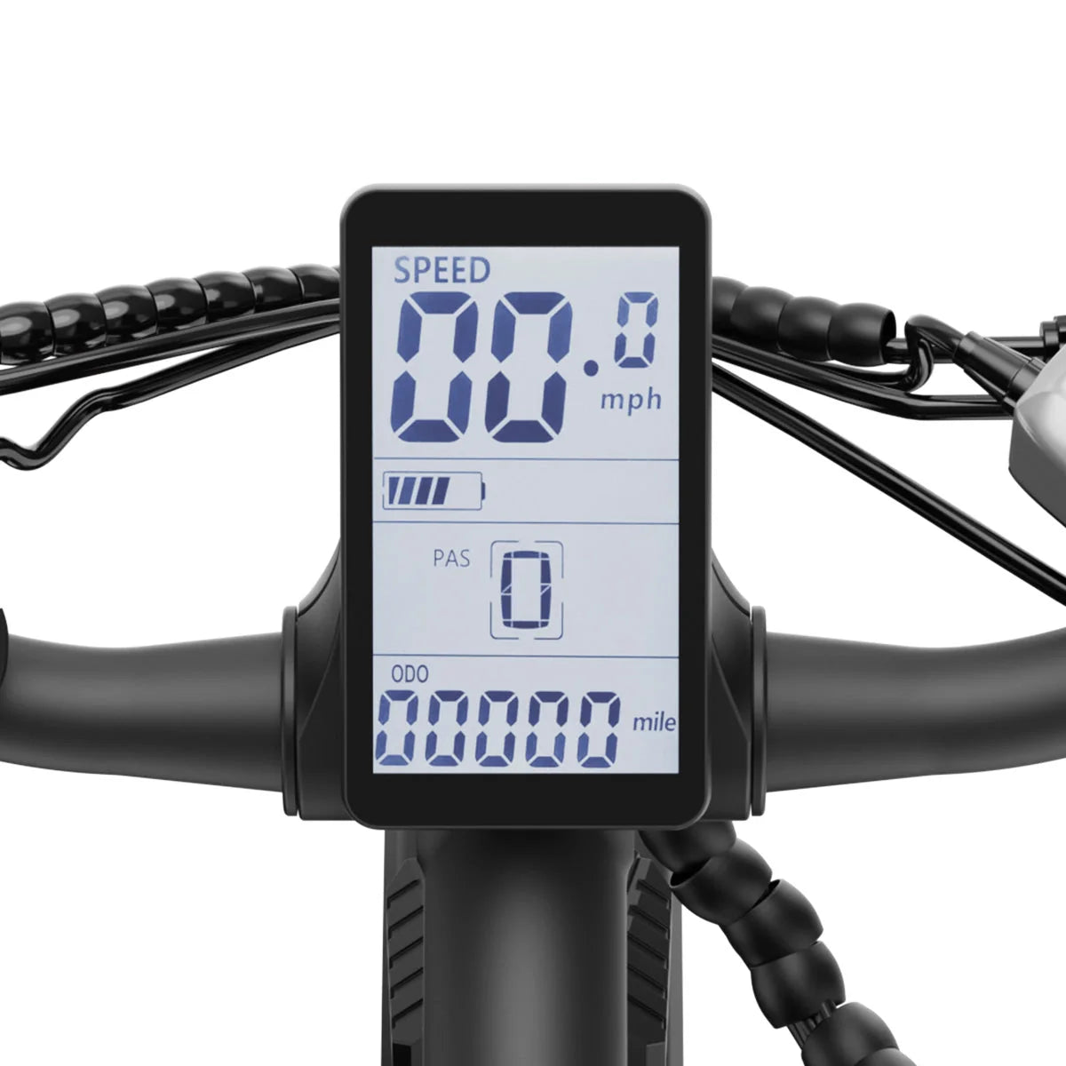 Big Cat C2 Xpress Ebike by Aipas®
