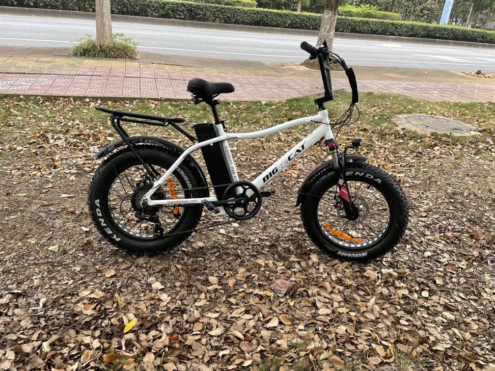 BIG CAT® 2025 Mini Fat Cat 750 (Max Output 1500W) XXL -Fat Tire Premium Electric Bike