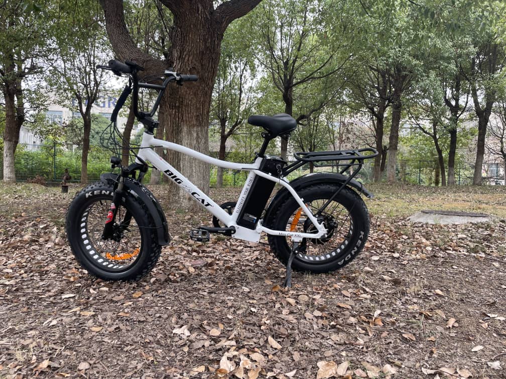 BIG CAT® 2025 Mini Fat Cat 750 (Max Output 1500W) XXL -Fat Tire Premium Electric Bike