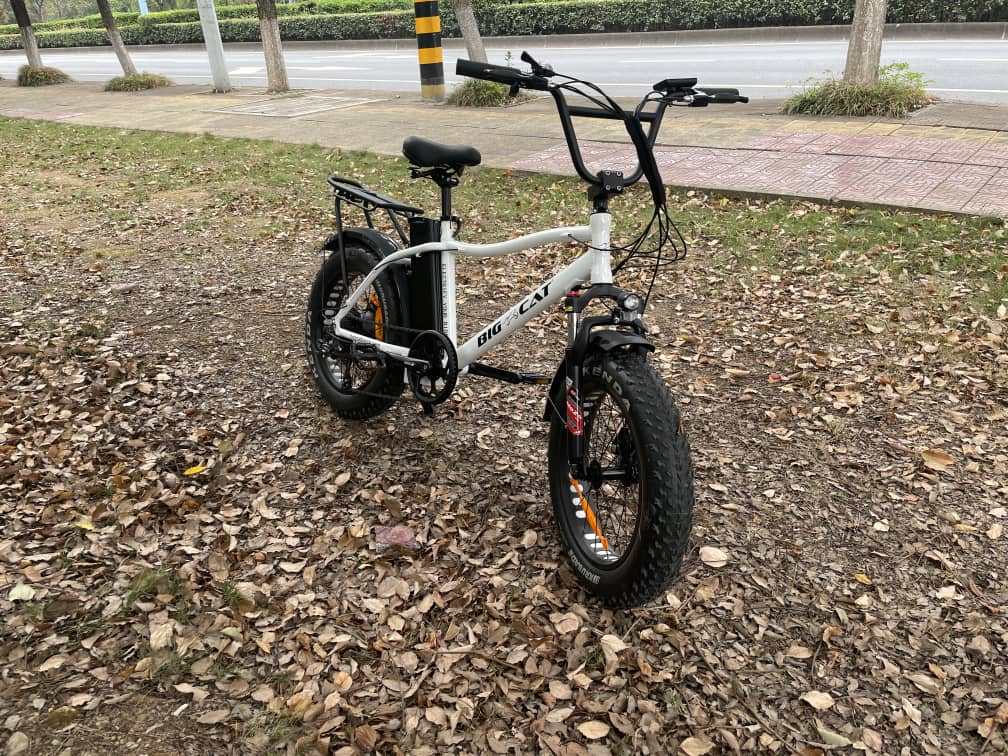 BIG CAT® 2025 Mini Fat Cat 750 (Max Output 1500W) XXL -Fat Tire Premium Electric Bike