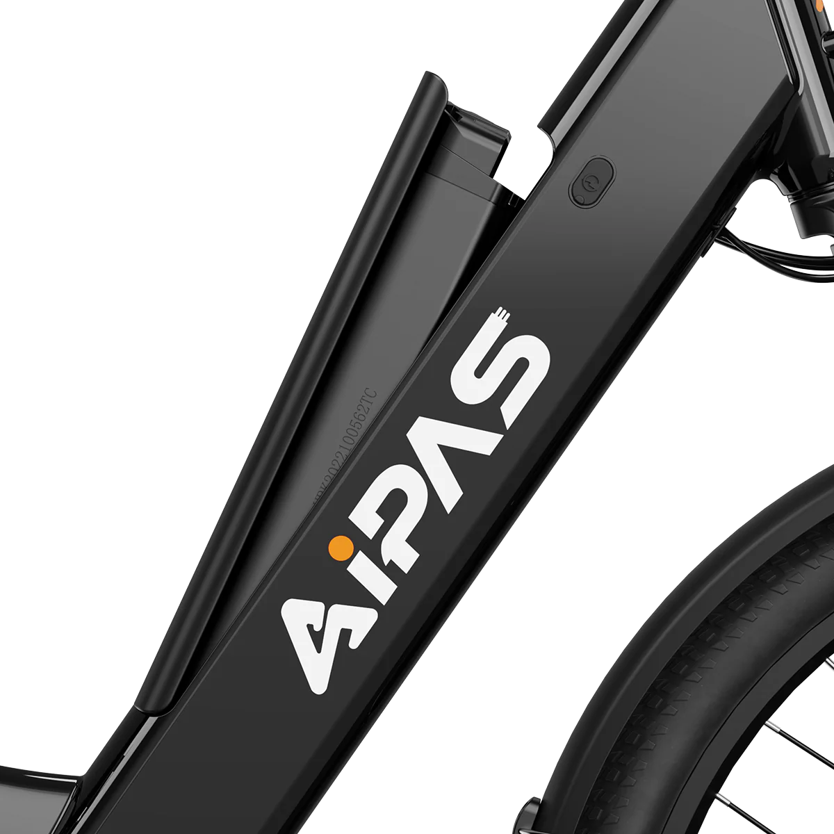 Big Cat C2 Xpress Ebike by Aipas®