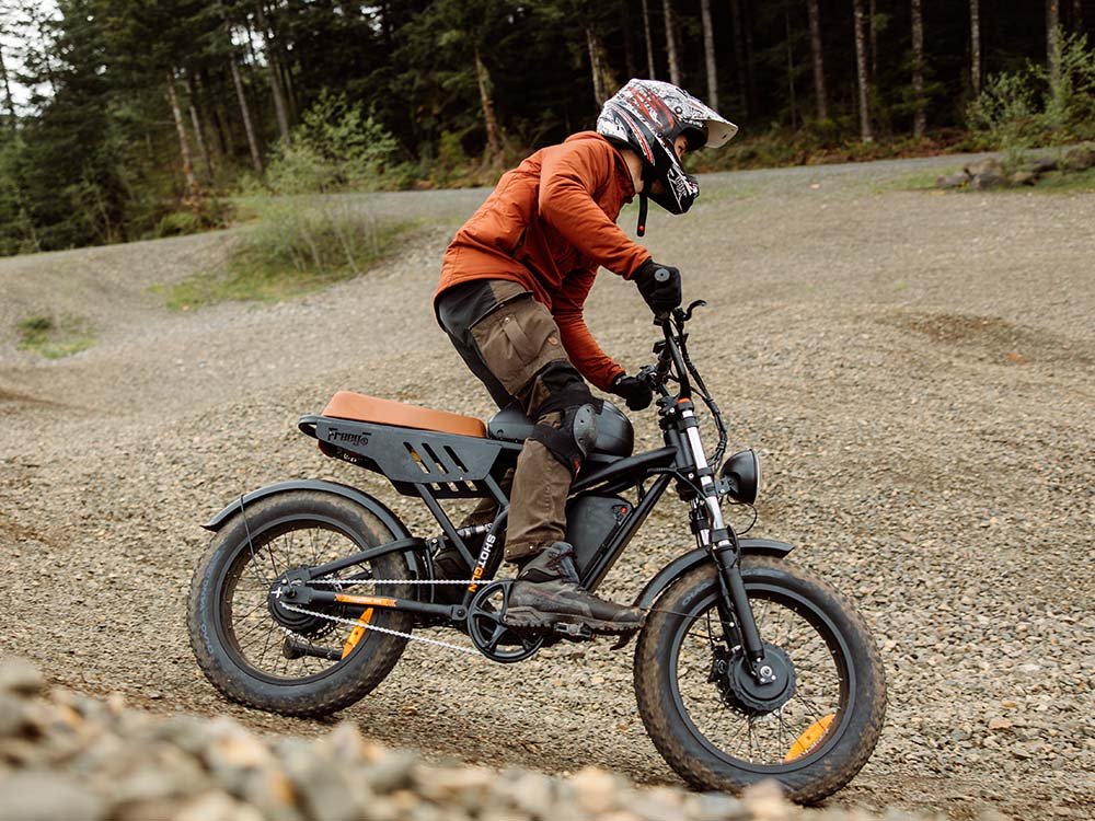 Big Cat Shotgun F3 Pro Max 2640Wh Electric Bike by Freego. Dual Battery and Dual Motor
