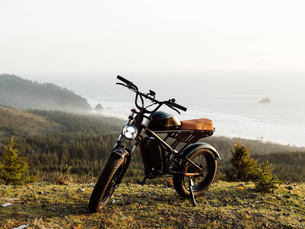 The Big Cat Shotgun F3 Pro Max (Dual Battery) E-Bike