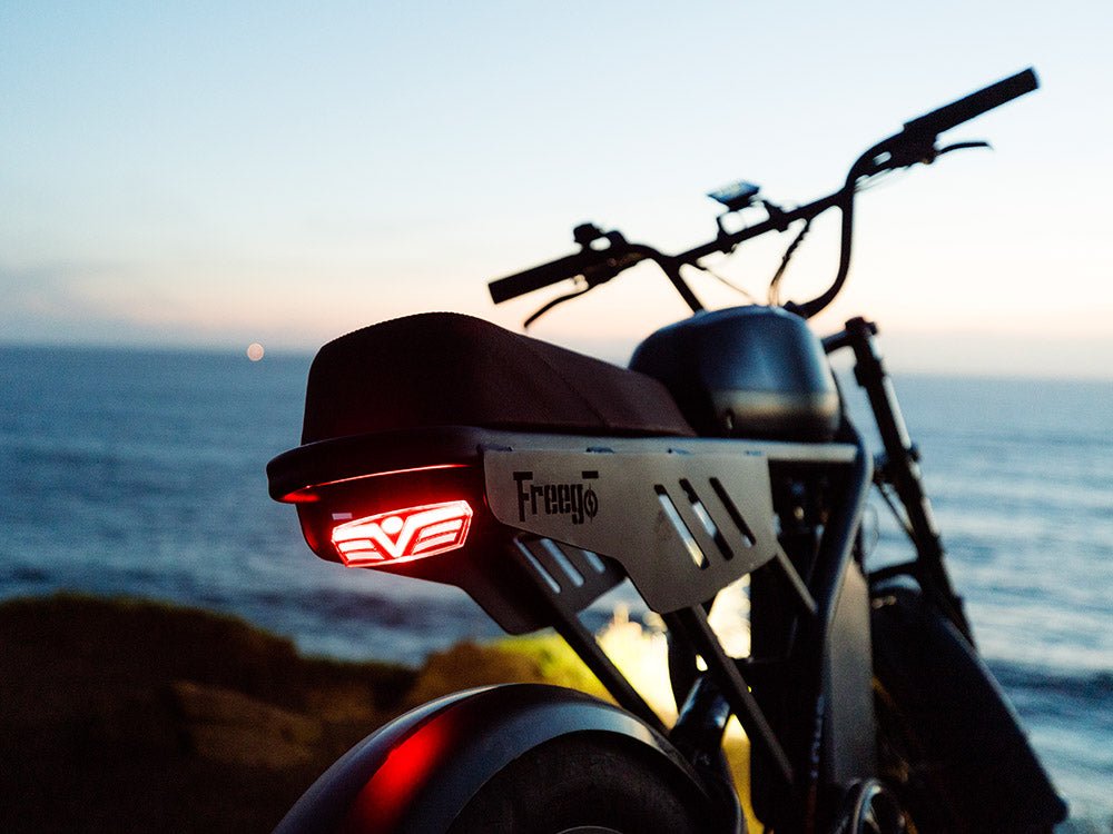 The Big Cat Shotgun F3 Pro Max (Dual Battery) E-Bike