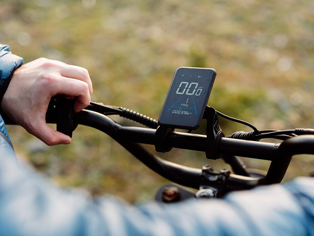 The Big Cat Shotgun F3 Pro Max (Dual Battery) E-Bike