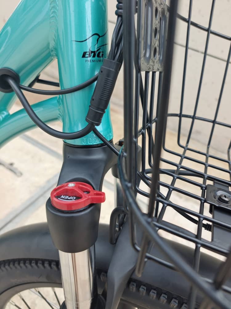 BIG CAT® 2025 Long Beach Cruiser 500watt Step-Thru (thin tire) Road Bike & Road Cruiser