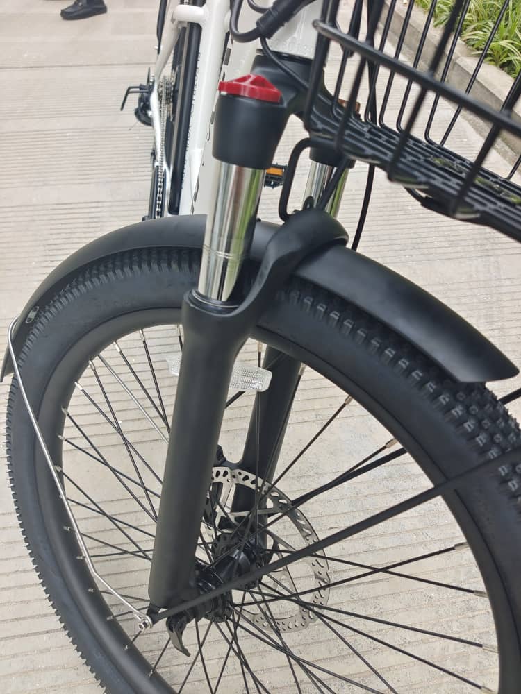 BIG CAT® 2025 Long Beach Cruiser 500watt Step-Thru (thin tire) Road Bike & Road Cruiser