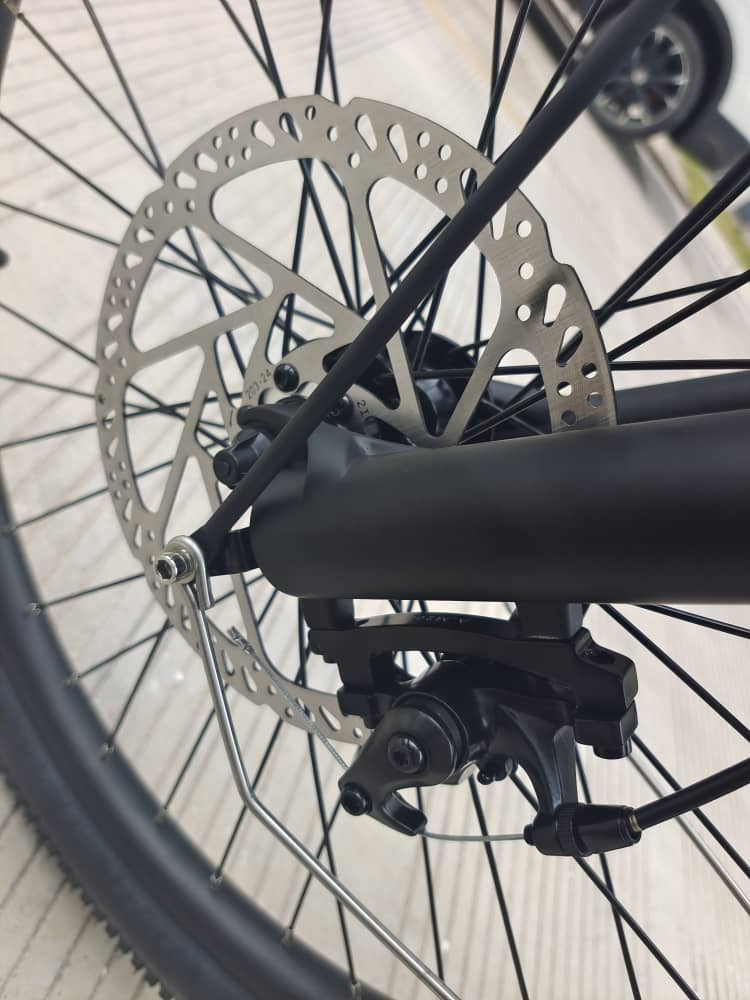 BIG CAT® 2025 Long Beach Cruiser 500watt Step-Thru (thin tire) Road Bike & Road Cruiser