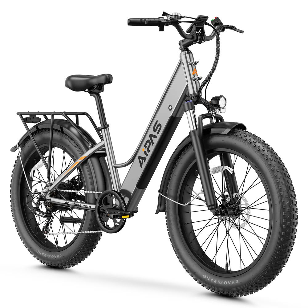 Big Cat M1 Xterrain ST Ebike by Aipas®