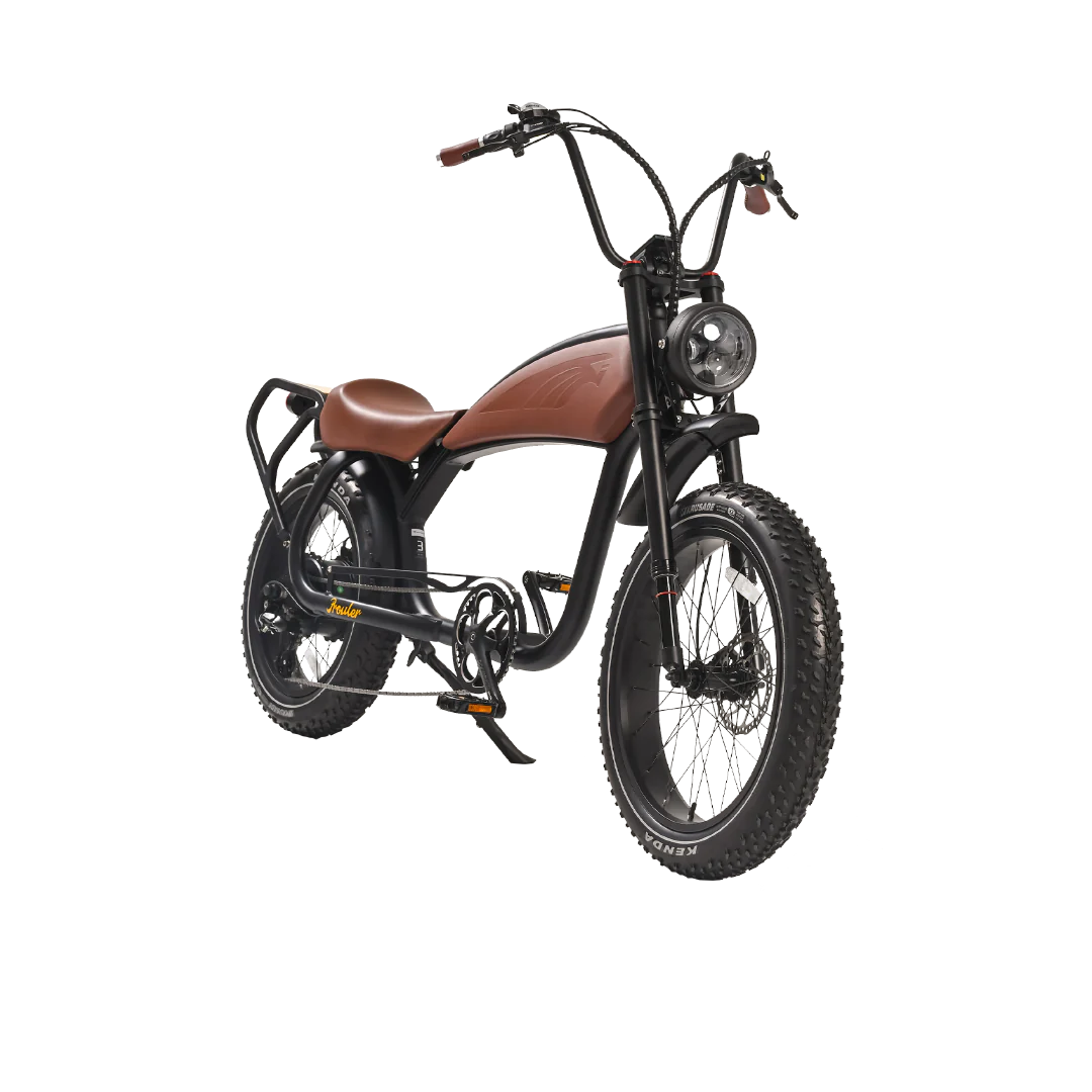 Big Cat Revi Prowler