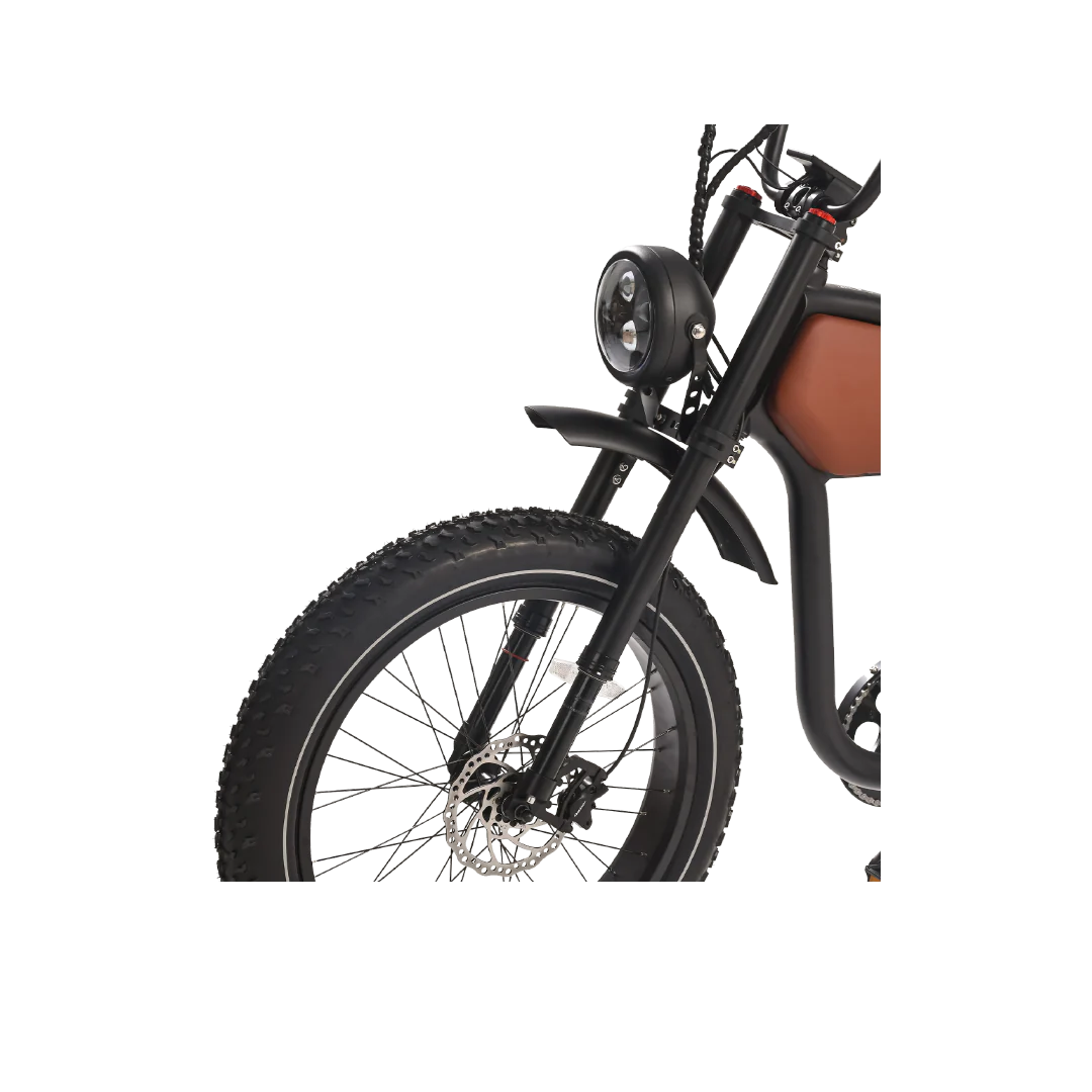 Big Cat Revi Prowler