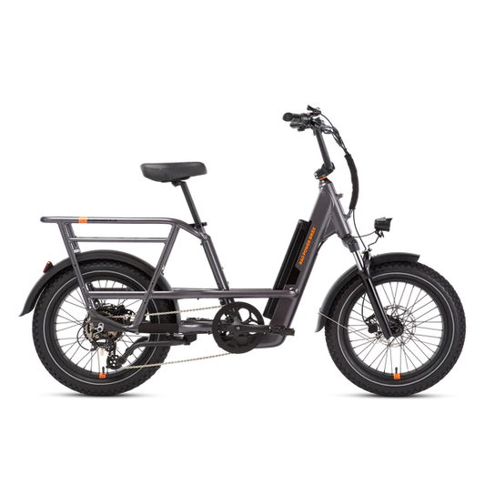RadRunner 3 Plus Electric Utility Bike