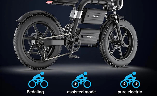 Big Cat Dual Battery Electric Bike motorcycle style with Adjustable Seat E20 by Freego