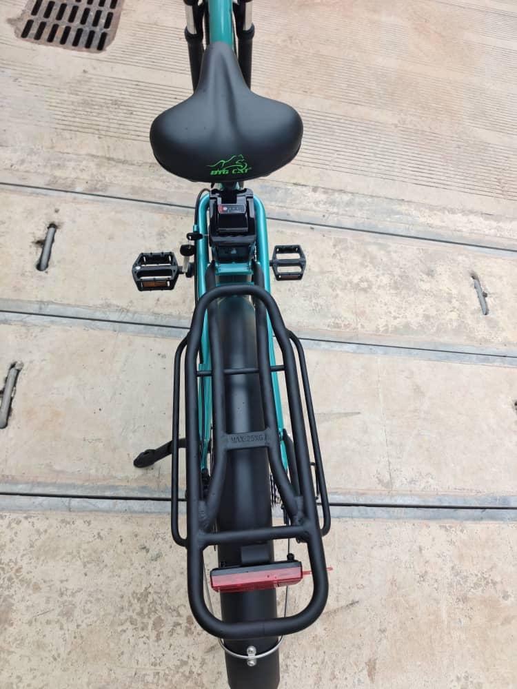 BIG CAT® 2025 Long Beach Cruiser 500watt Step-Thru (thin tire) Road Bike & Road Cruiser