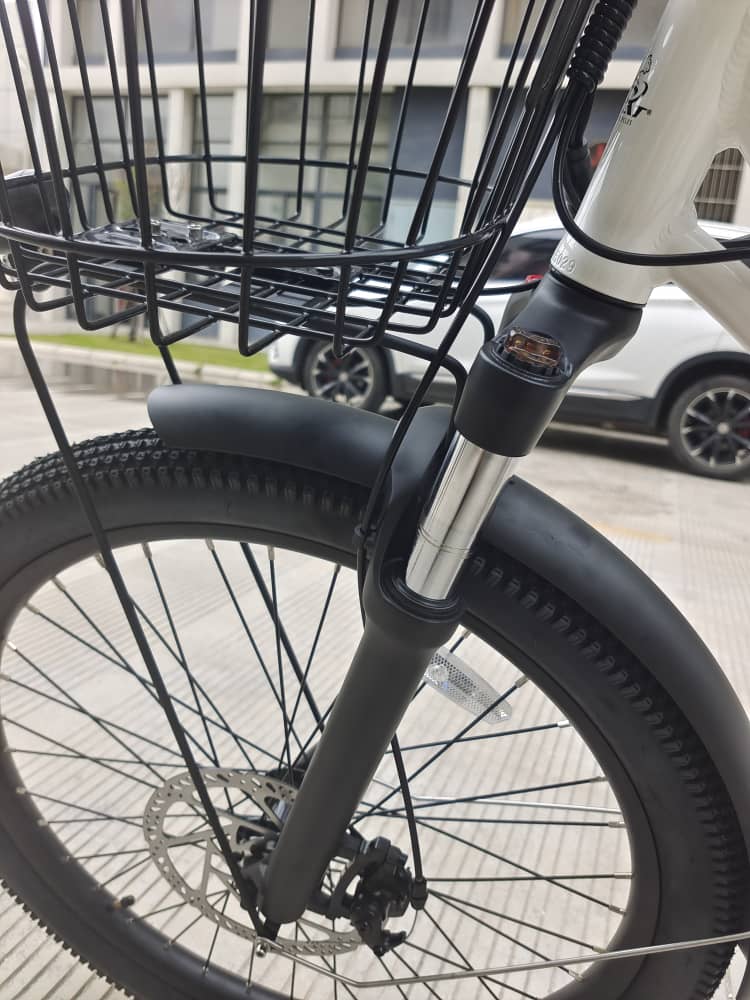 BIG CAT® 2025 Long Beach Cruiser 500watt Step-Thru (thin tire) Road Bike & Road Cruiser