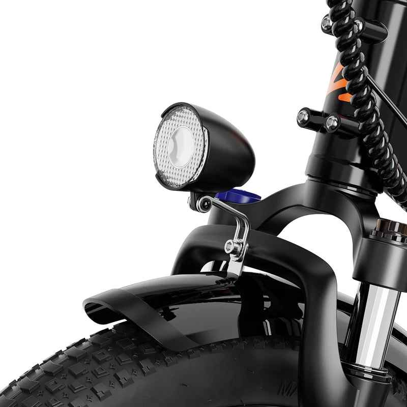 Big Cat A2 Folding E-Bike by Aipas®
