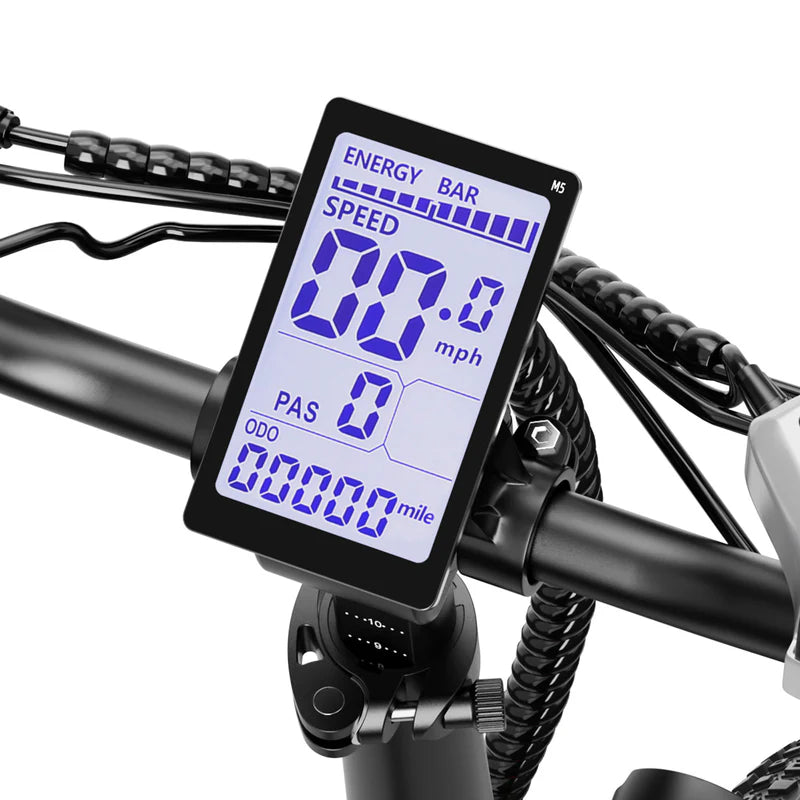 Big Cat A2 Folding E-Bike by Aipas®