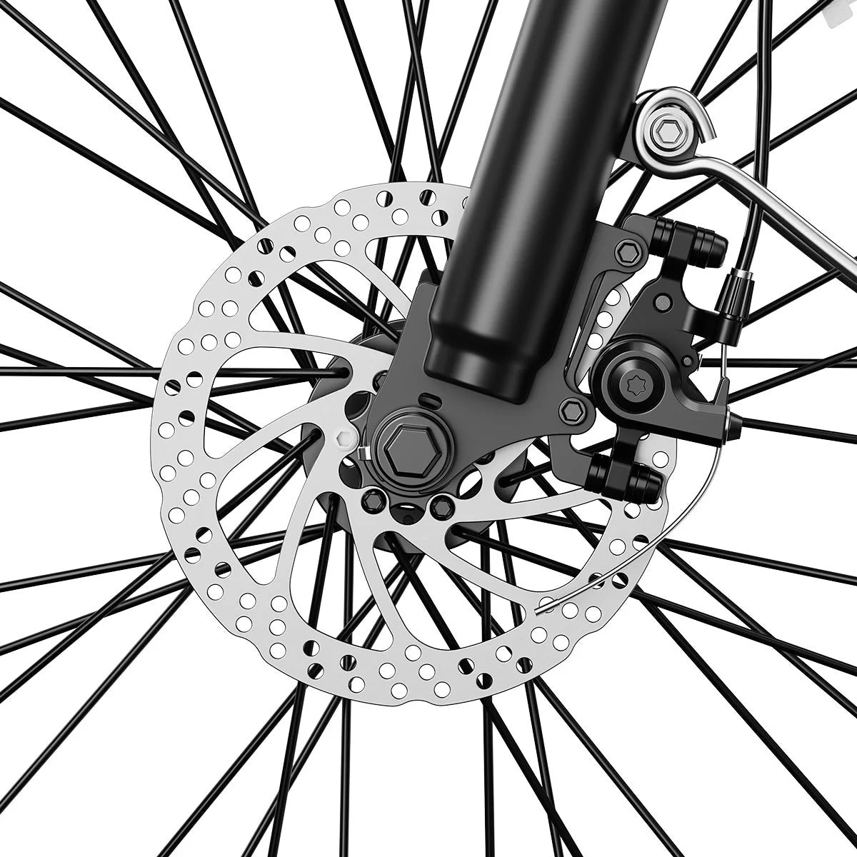 Big Cat C2 Xpress Ebike by Aipas®
