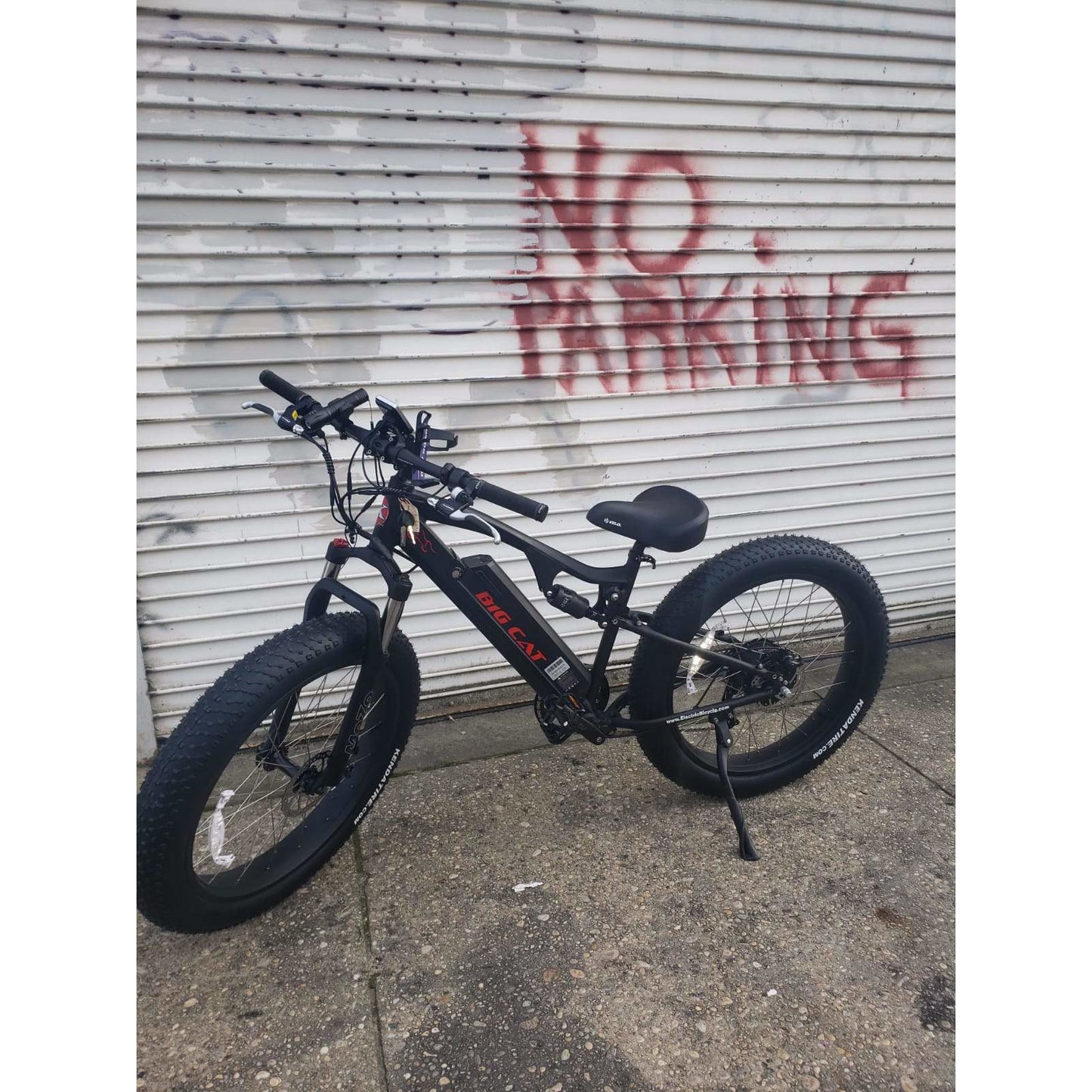 Big Cat 2023 Rocky XL 500w Fat Tire! Top Seller! (Dual Suspension)