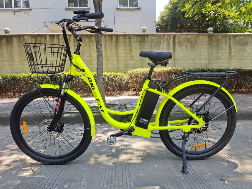 BIG CAT® 2025 Long Beach Cruiser 500watt Step-Thru (thin tire) Road Bike & Road Cruiser