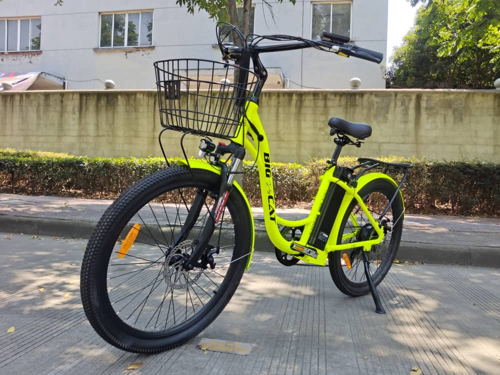 BIG CAT® 2025 Long Beach Cruiser 500watt Step-Thru (thin tire) Road Bike & Road Cruiser