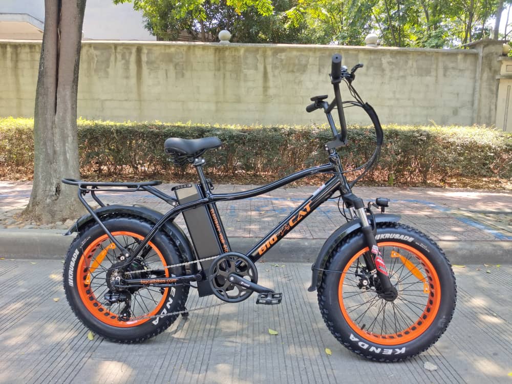 BIG CAT® 2025 Mini Fat Cat 750 (Max Output 1500W) XXL -Fat Tire Premium Electric Bike
