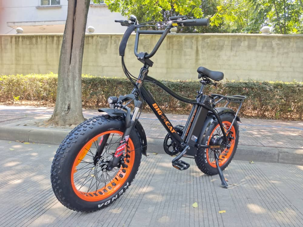 BIG CAT® 2025 Mini Fat Cat 750 (Max Output 1500W) XXL -Fat Tire Premium Electric Bike