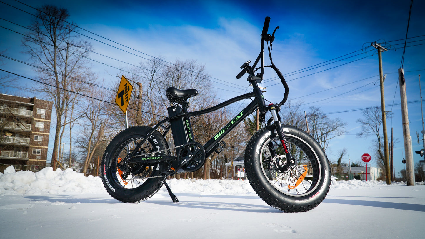 BIG CAT® 2025 Mini Fat Cat 750 (Max Output 1500W) XXL -Fat Tire Premium Electric Bike