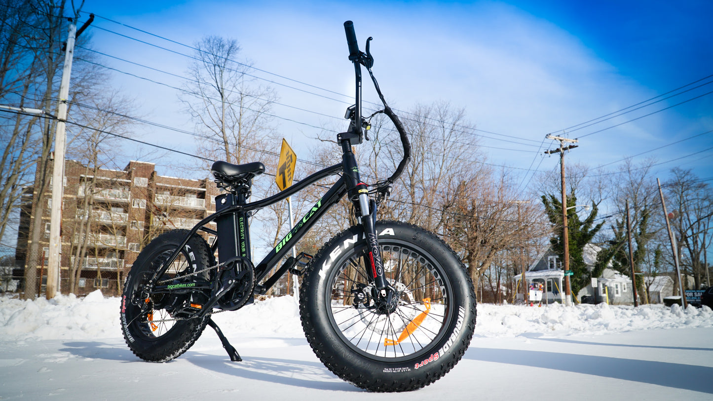 BIG CAT® 2025 Mini Fat Cat 750 (Max Output 1500W) XXL -Fat Tire Premium Electric Bike
