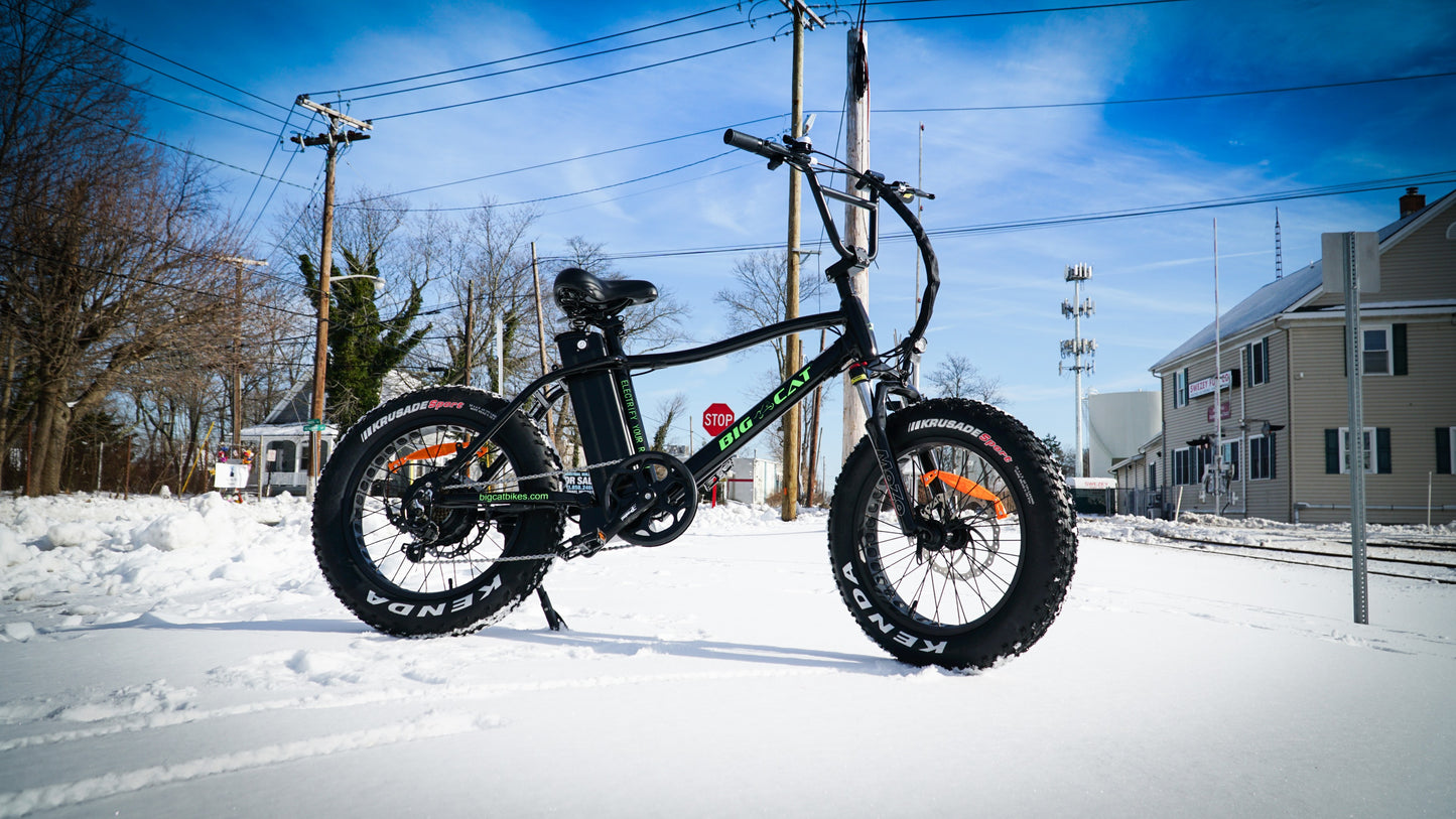 BIG CAT® 2025 Mini Fat Cat 750 (Max Output 1500W) XXL -Fat Tire Premium Electric Bike