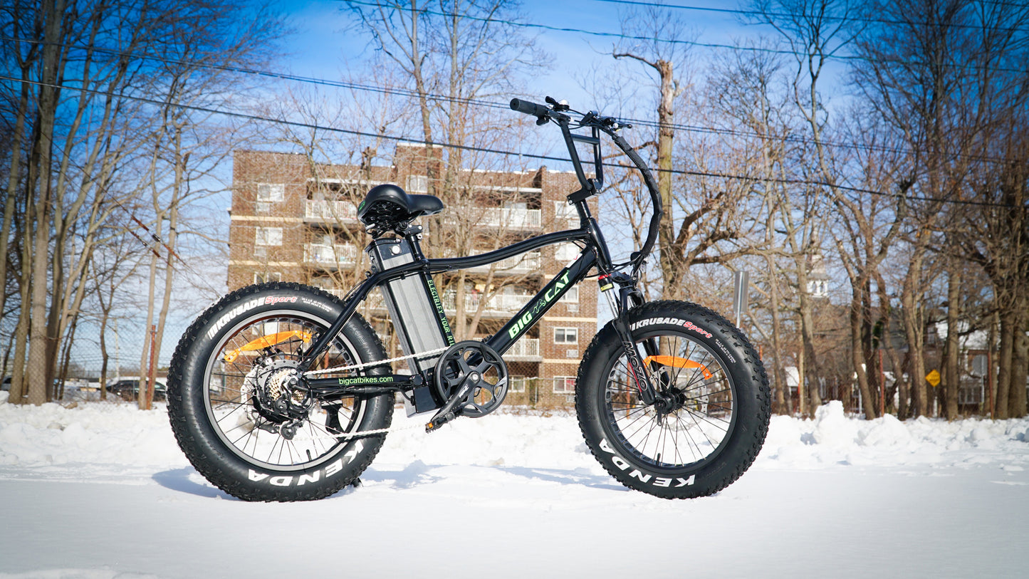 BIG CAT® 2025 Mini Fat Cat 750 (Max Output 1500W) XXL -Fat Tire Premium Electric Bike