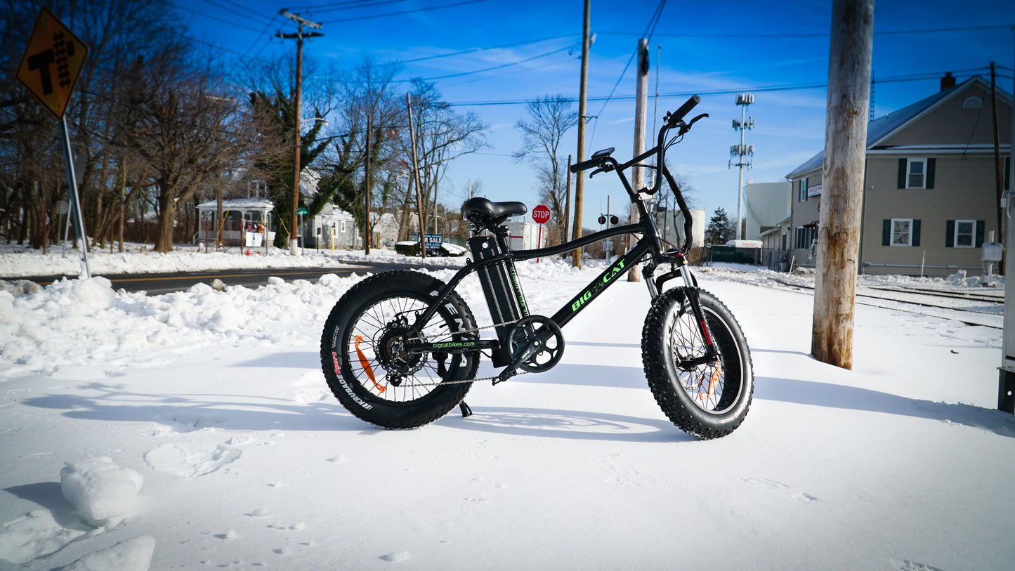 BIG CAT® 2025 Mini Fat Cat 750 (Max Output 1500W) XXL -Fat Tire Premium Electric Bike