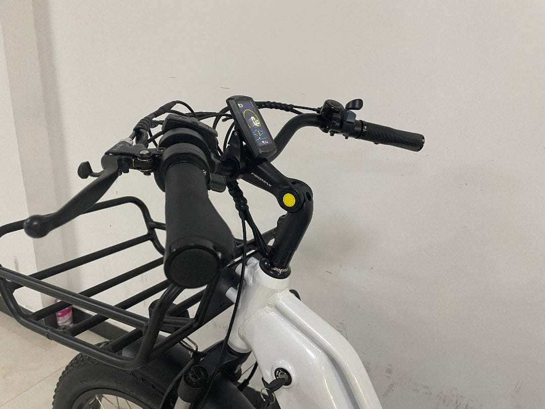 Big Cat Electric Trike Cruiser (Fat Tire)