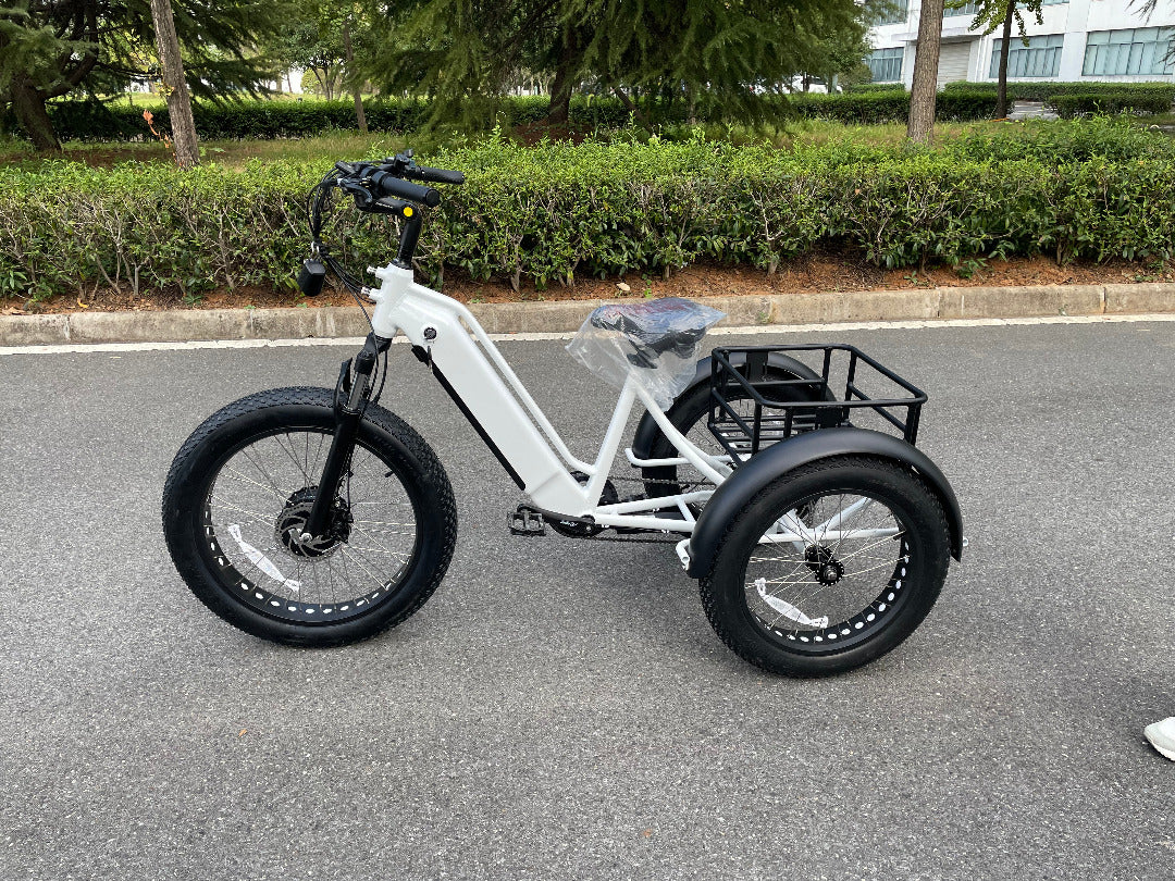 Big Cat Electric Trike Cruiser (Fat Tire)