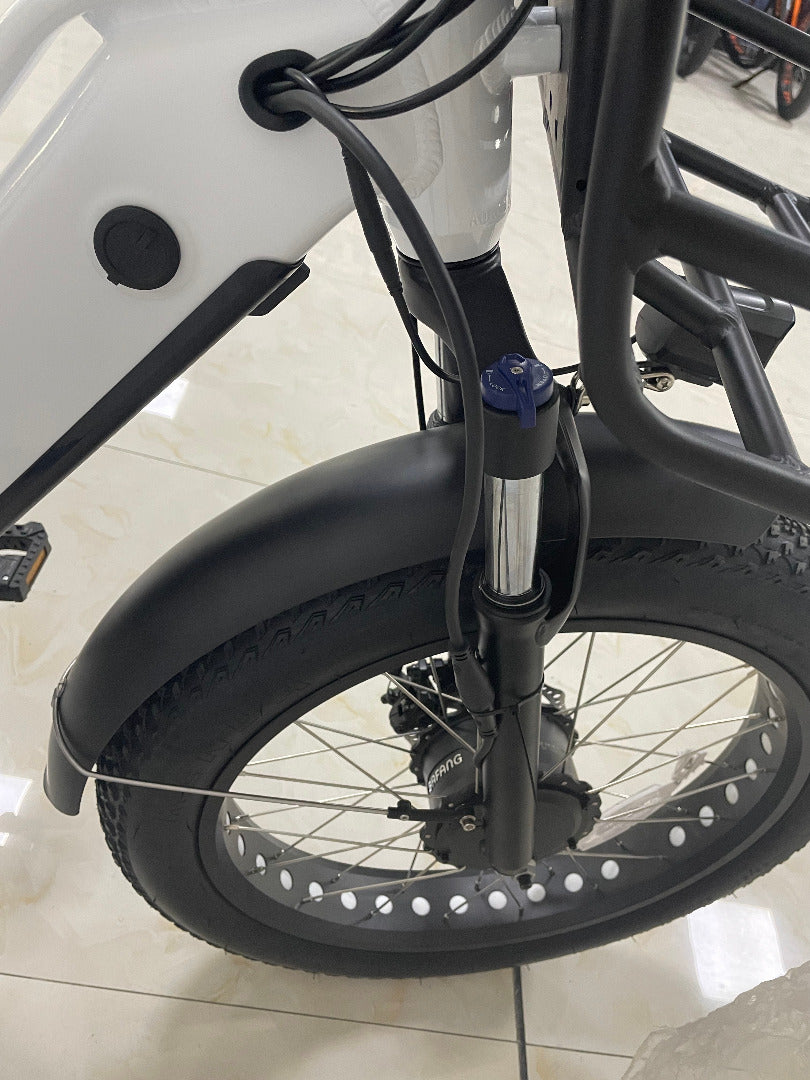 Big Cat Electric Trike Cruiser (Fat Tire)