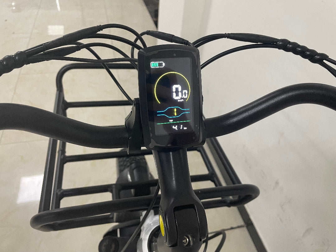 Big Cat Electric Trike Cruiser (Fat Tire)
