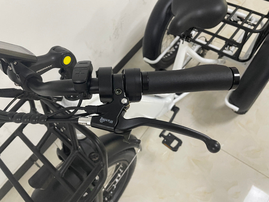 Big Cat Electric Trike Cruiser (Fat Tire)