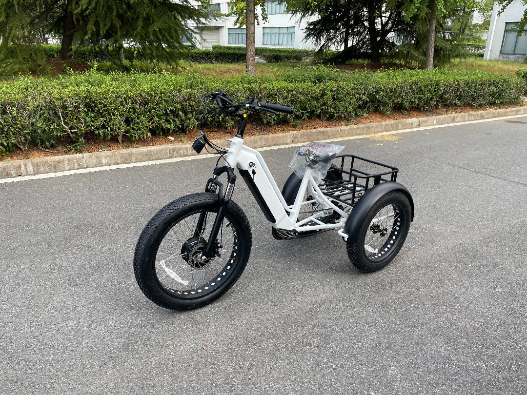 Big Cat Electric Trike Cruiser (Fat Tire)