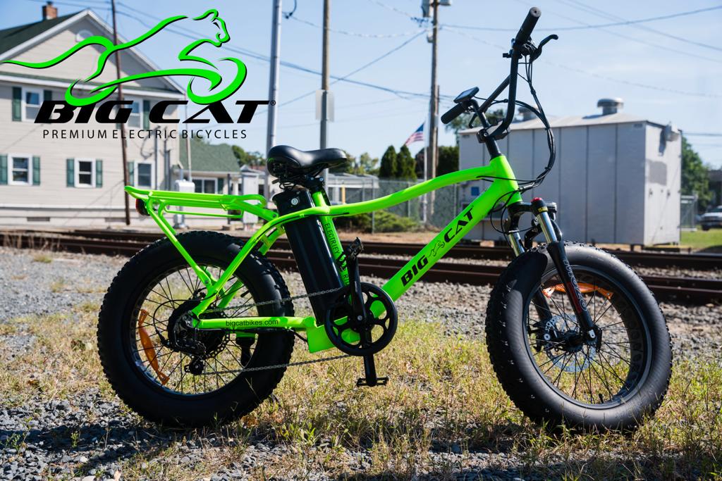 BIG CAT® 2024 Mini Fat Cat 750 XXL -Fat Tire Premium Electric Bike