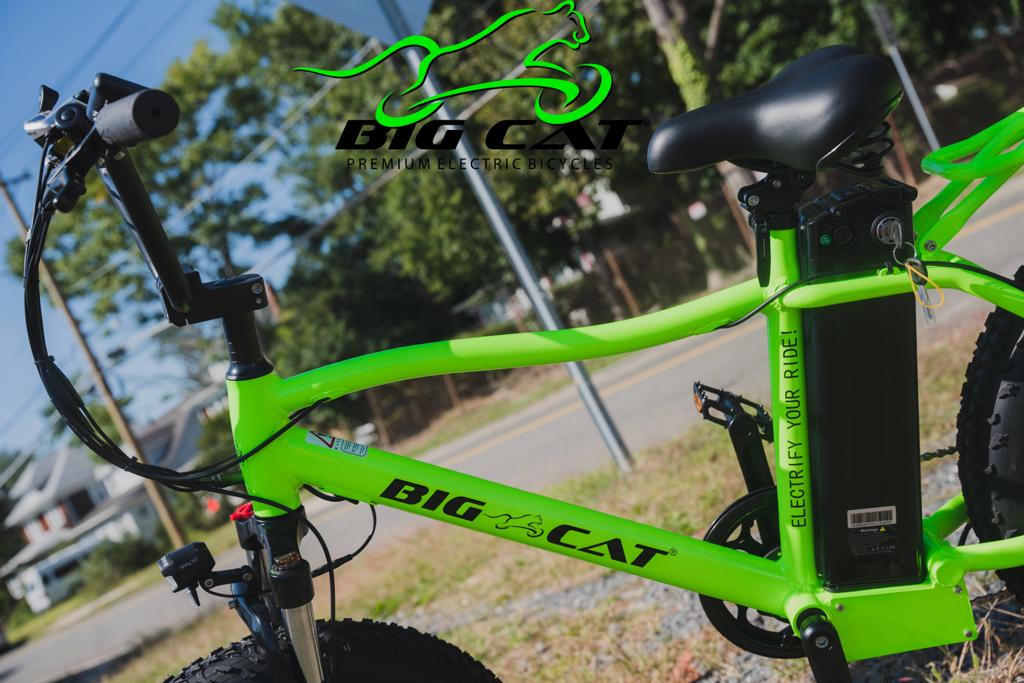 BIG CAT® 2025 Mini Fat Cat 750 (Max Output 1500W) XXL -Fat Tire Premium Electric Bike