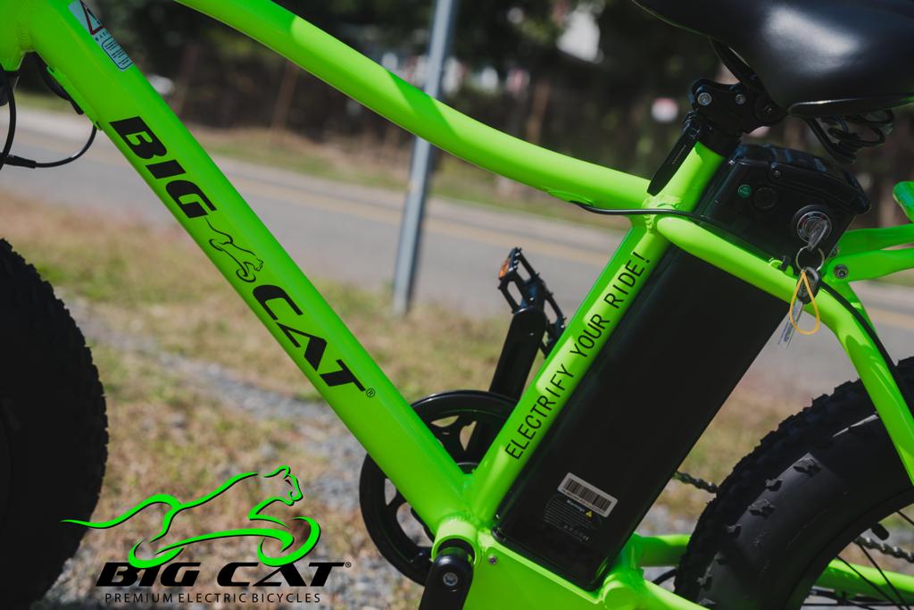 BIG CAT® 2025 Mini Fat Cat 750 (Max Output 1500W) XXL -Fat Tire Premium Electric Bike