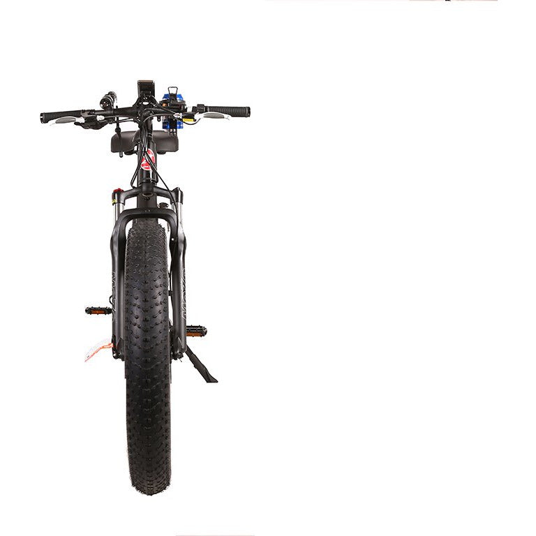 Rocky Road 48v electric mountain bike black rear view
