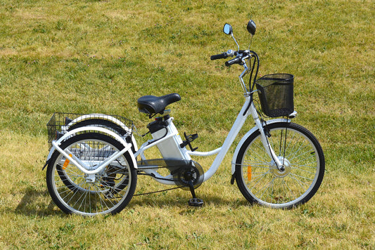 Practical Advice on How to Choose an Electric Trike