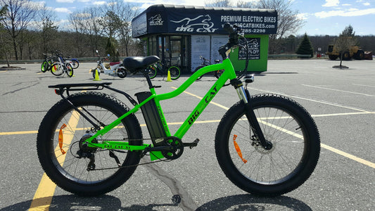 big cat fat cat xl 500 suspension fork 
